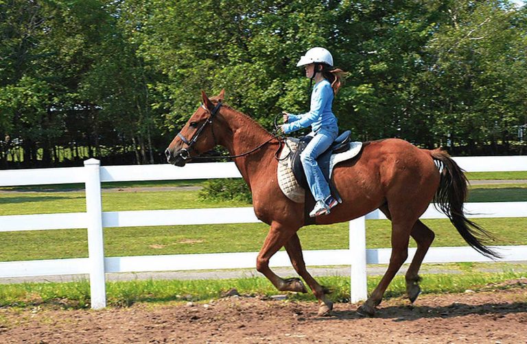 Horesback Riding at Camp Lindenmere Pennsylvania Summer Camp